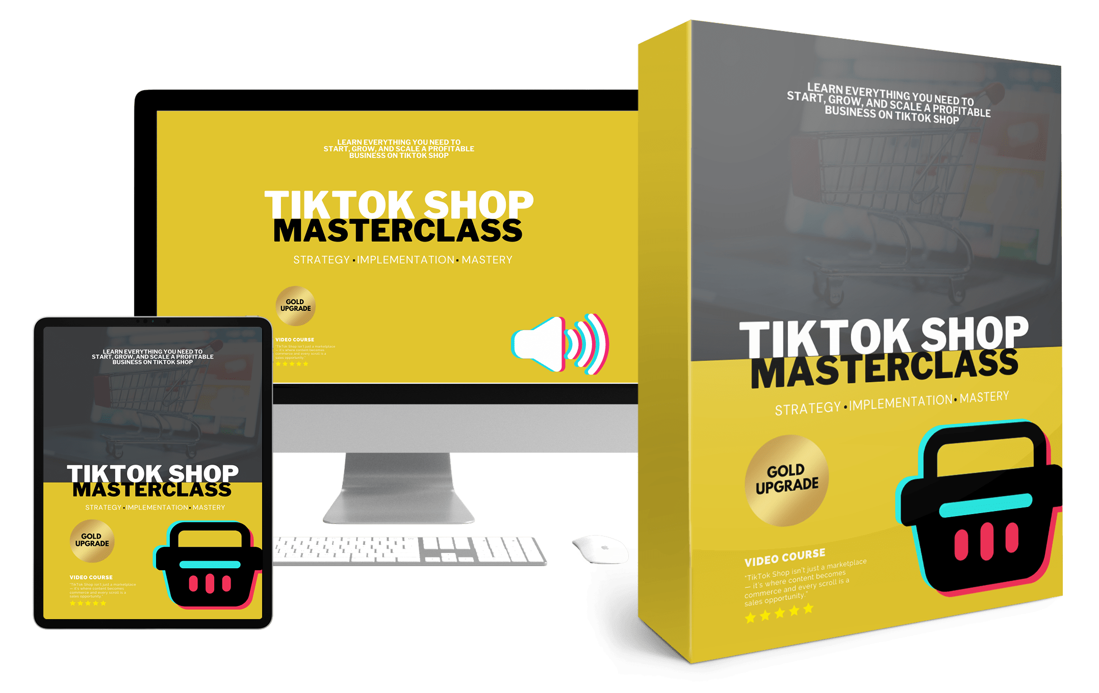 TikTok Shop Masterclass (Videos, Audio & eBook)
